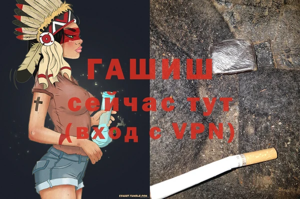 шишки Арсеньев