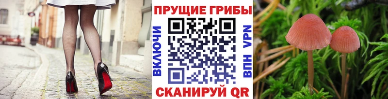 Купить закладки  Ступино  Галлюциногенные грибы ЛСД 